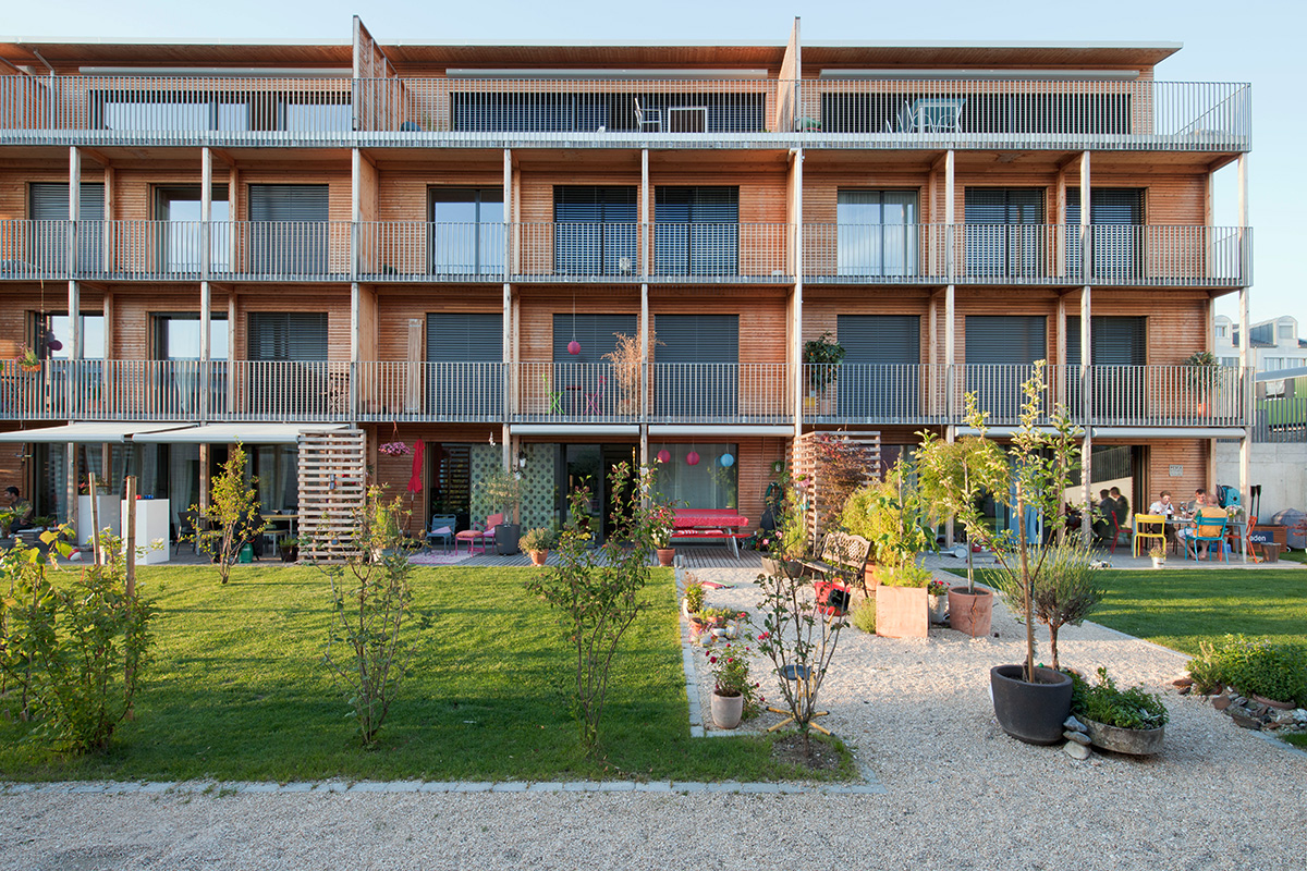 Nachhaltige Wohnsiedlung in Watt - Südfassde mit grosse Fenster
